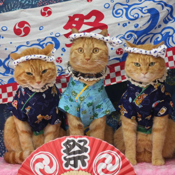 0505c450 9c11 496b abc0 3be58f8a4677 1625208850275