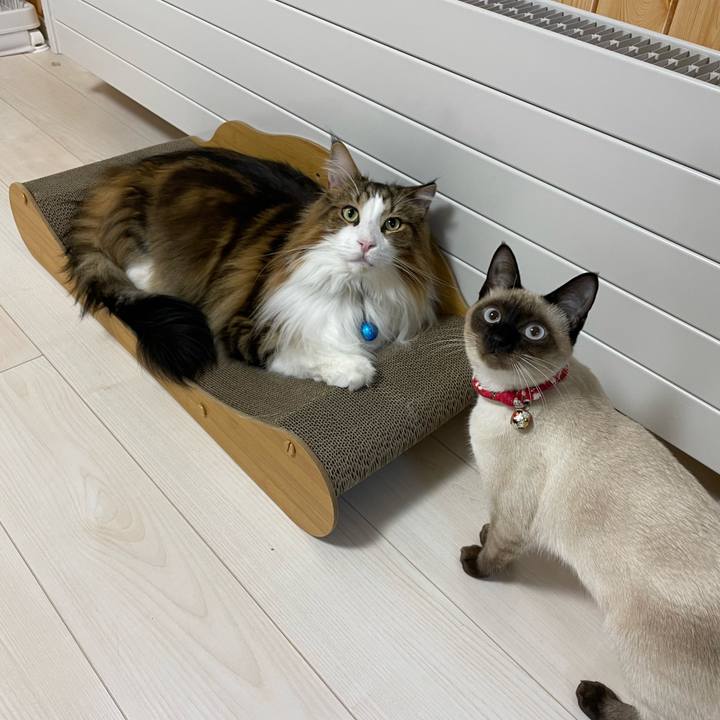 0505d6a8 dd7e 4584 8f26 55f90b25326f 1703531590603