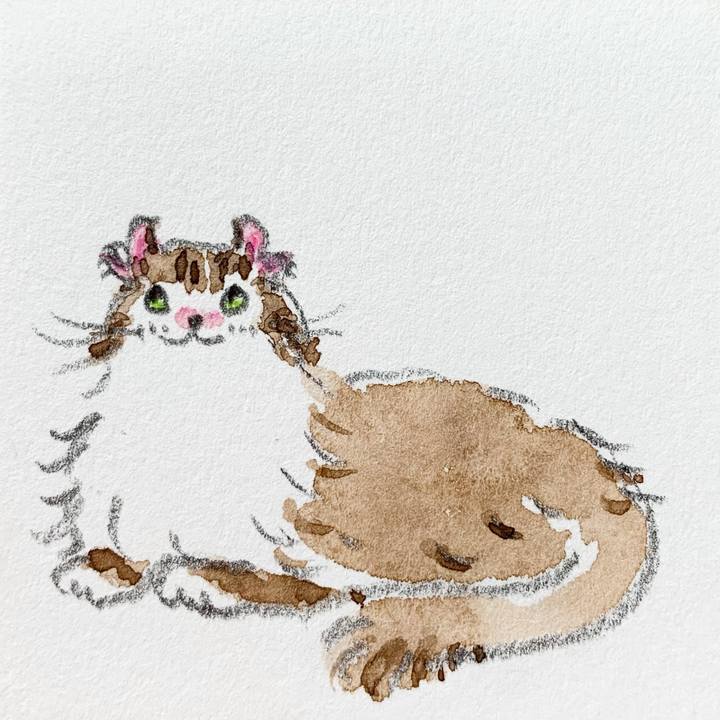 05060cbd bd7f 4aac 8ad1 4e3953b79b60 1631662115682