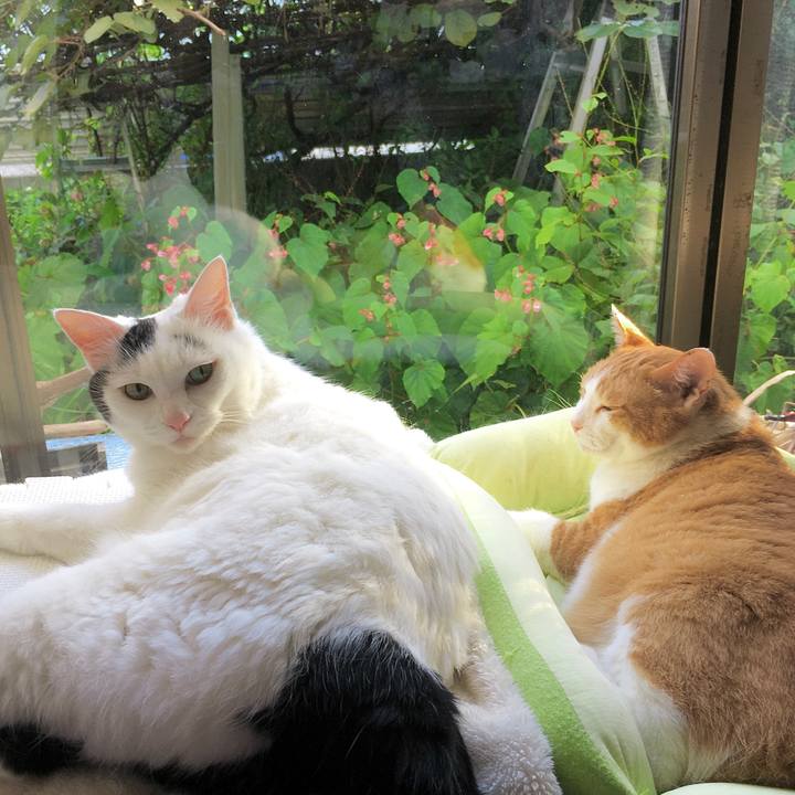 05063e13 38f0 4e20 b376 f00d7f80a3d0 1598504710709