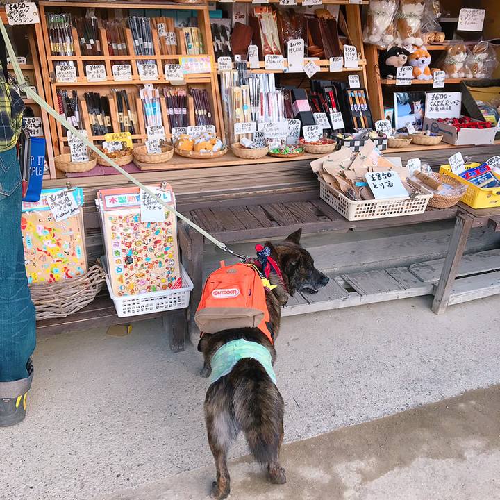 05067634 740f 4e10 afbf 755bf4e82f51 1556979429044