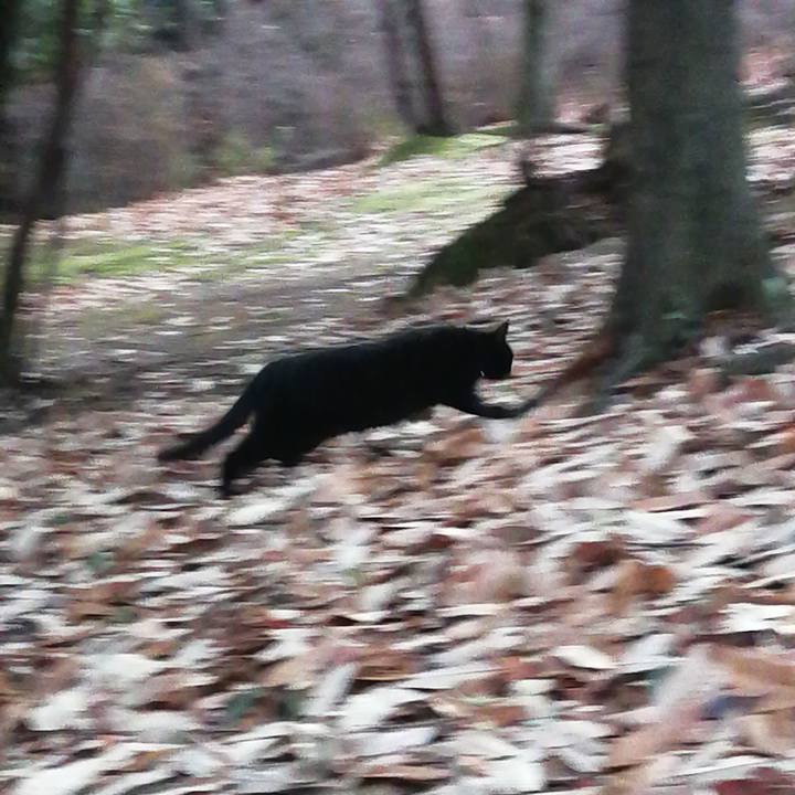 05068c7e 69e6 4b02 889f c29c26917797 1641938508064