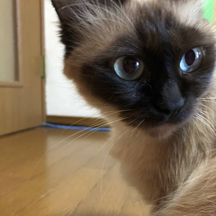 05069b3d 7558 4472 86b1 9a4e3f3ff610 1602596603935