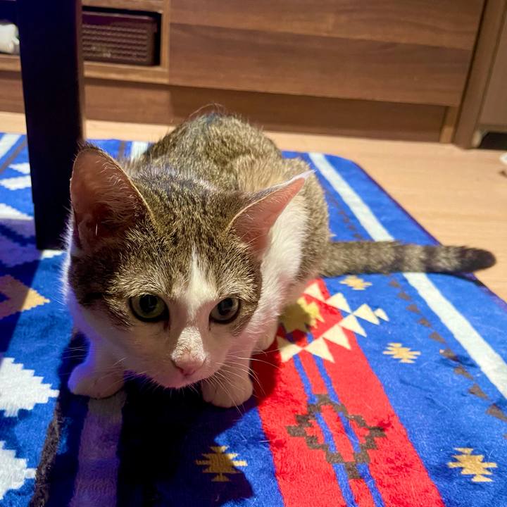 0506a8b8 9b58 4ff8 8782 3ce4b151b233 1626524460403