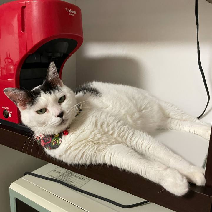 0506f102 fa9e 45d5 b898 140e36ade3db 1633776457687