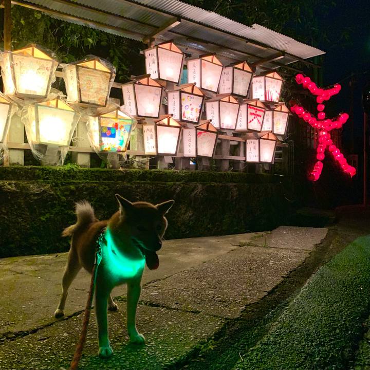 0506f250 320e 4134 bd12 d1602caa16b1 1689335151301