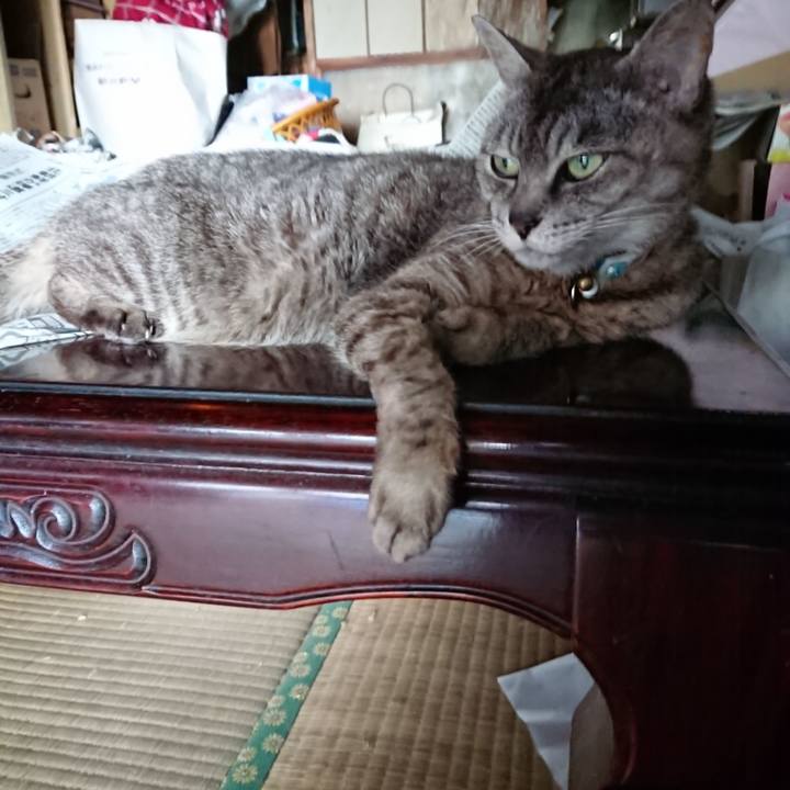 05070890 3329 41bb 9844 1eb9eba5ebe0 1565341520906