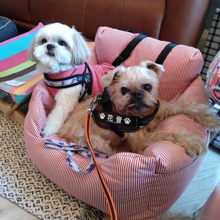 0507523c fb44 4cd9 b35d 9095e3a6998e 1702197762810