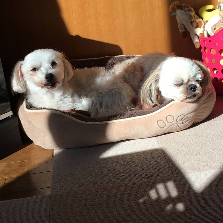 0507701d 96f6 4712 a199 0c2438163575 1635551594970