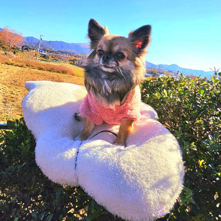 050784ee eaf1 4dd3 9b3a 48209a33dcf7 1765362449235