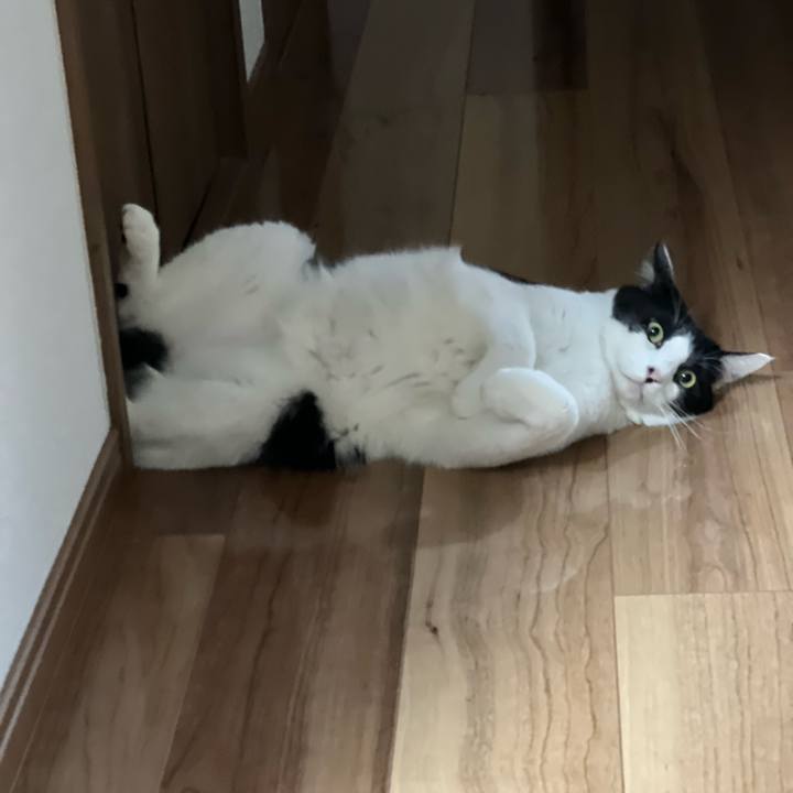 050789ad 6fa7 43ac 9ae8 20cd0415cf8a 1759492310519