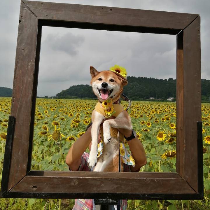 0507beee f7aa 4185 ab56 3fd6a70721d9 1692343289288