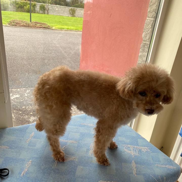 0507e765 800e 4f9f b364 56be232477df 1651411439892