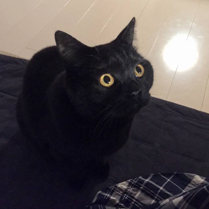 0507f57e 0c71 498b b288 2ef1dc2d1923 1550232661847