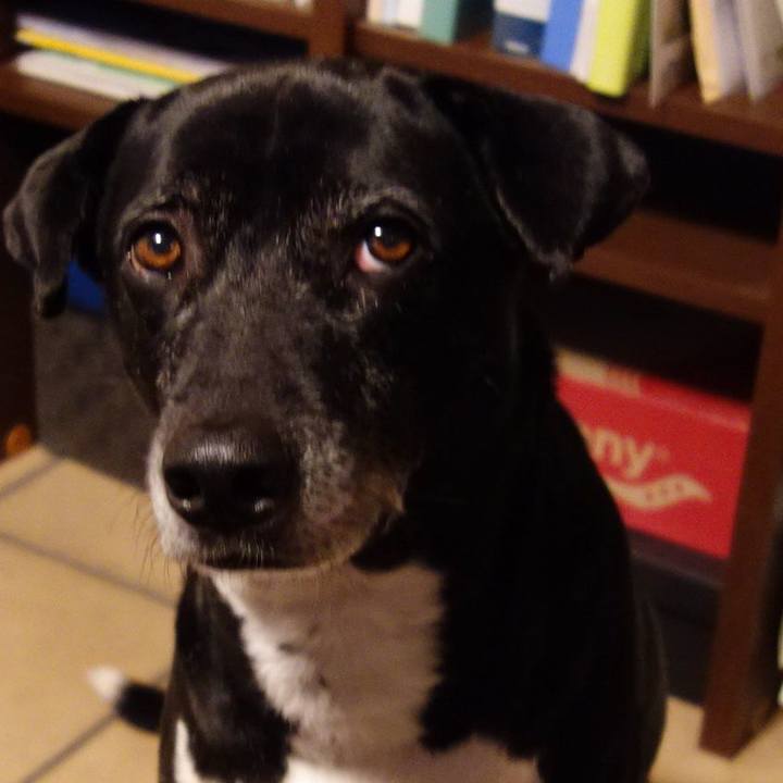 0507fd47 caa1 42ae b303 aacdd6aff883 1735518270089