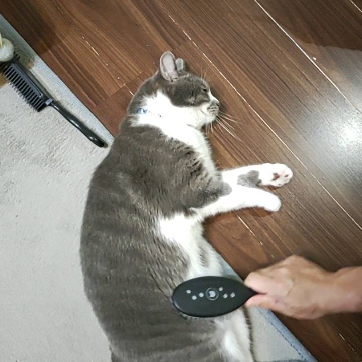 0508147b a79a 4548 a458 9166205a8173 1721737511089