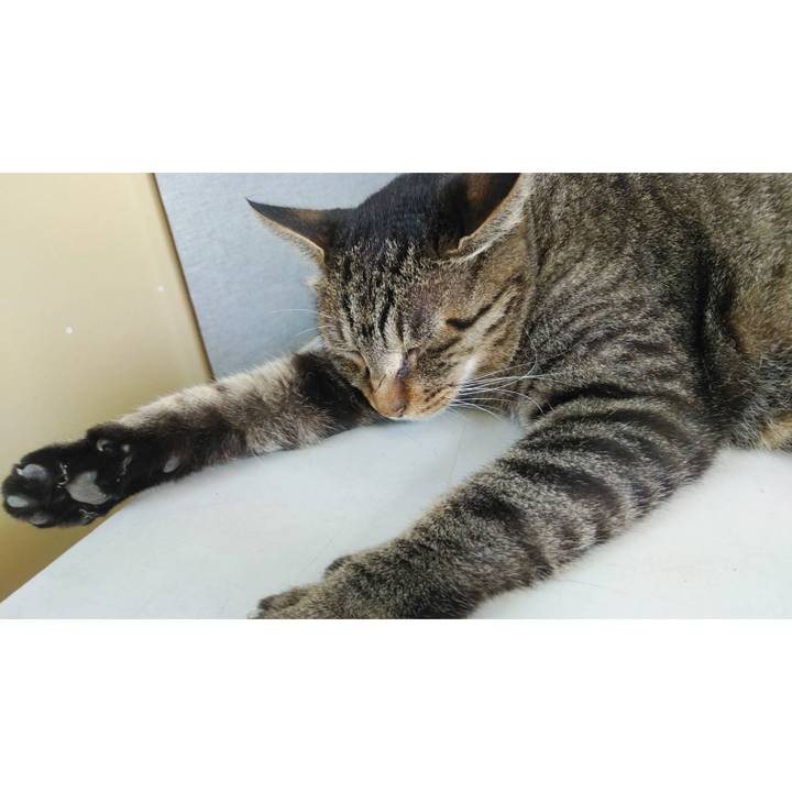 05084fed ce81 480a 86cd 1854a9333573 1596759815367