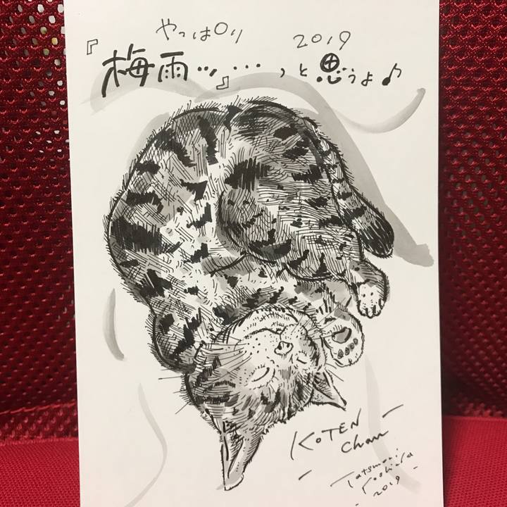 05086bbe 92f3 469b a0ea 155f7d8703d2 1561655858138