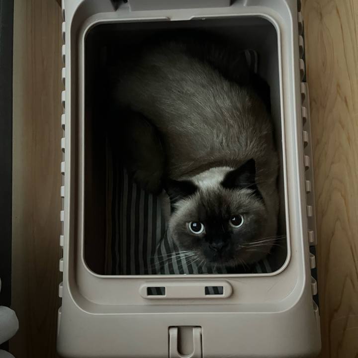 05087734 b9d4 4d76 8488 f1e1878a2558 1634260303158