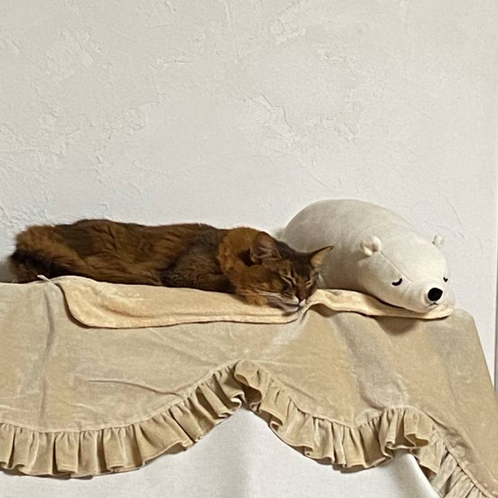 050879d9 1985 4126 b11e 7db4a69a60af 1641719893671