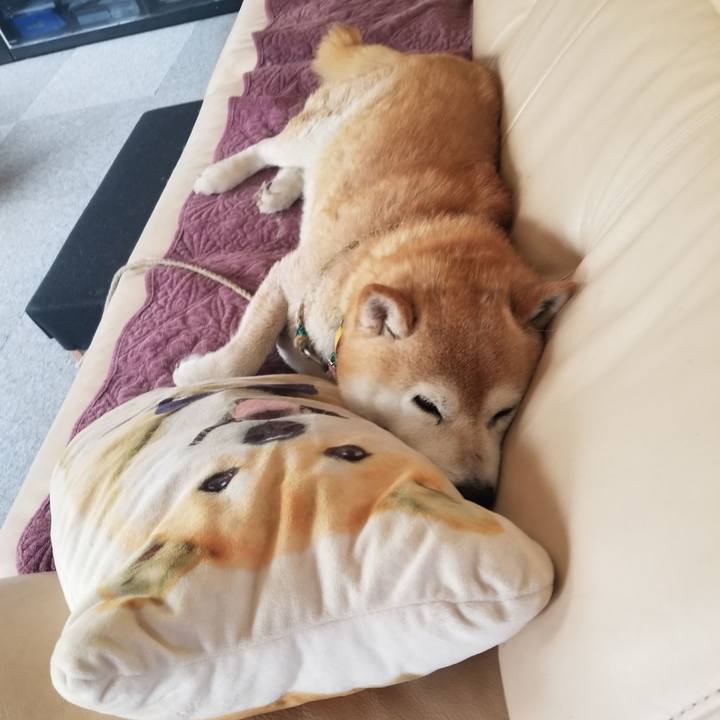 050888cf cfde 4fae 8068 56a375391ce2 1687913856347