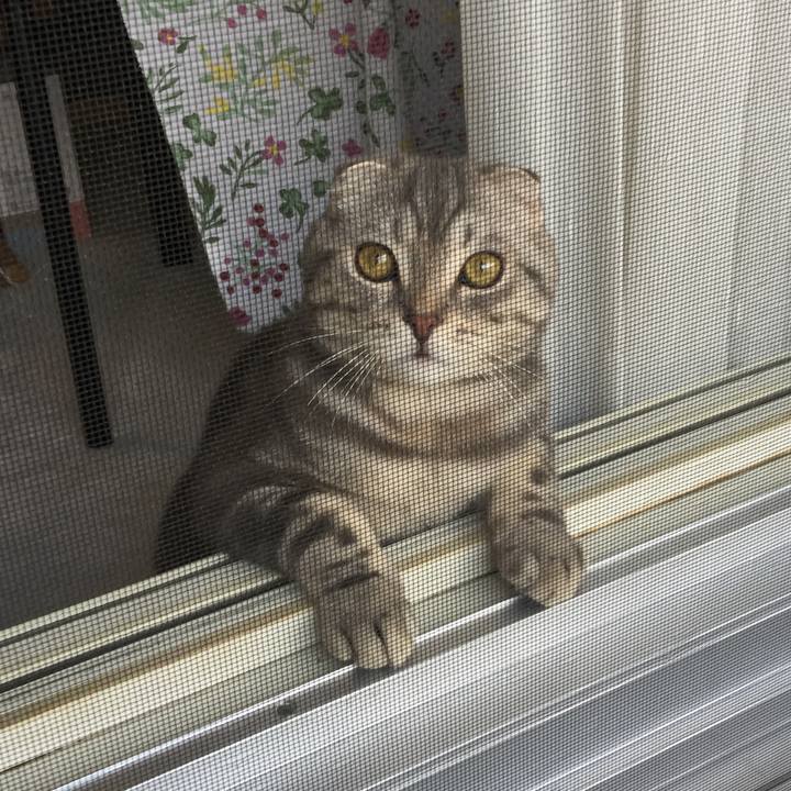 05089c69 346a 416b 89ac 0d8783f447c8 1598003297049