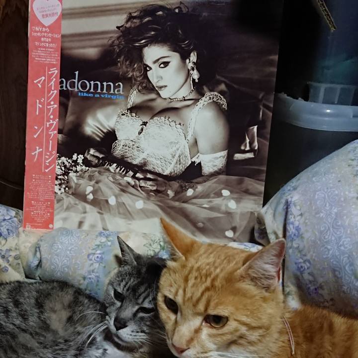 0508aa1a 08bc 470c 9fef 30472c70a068 1590321244575