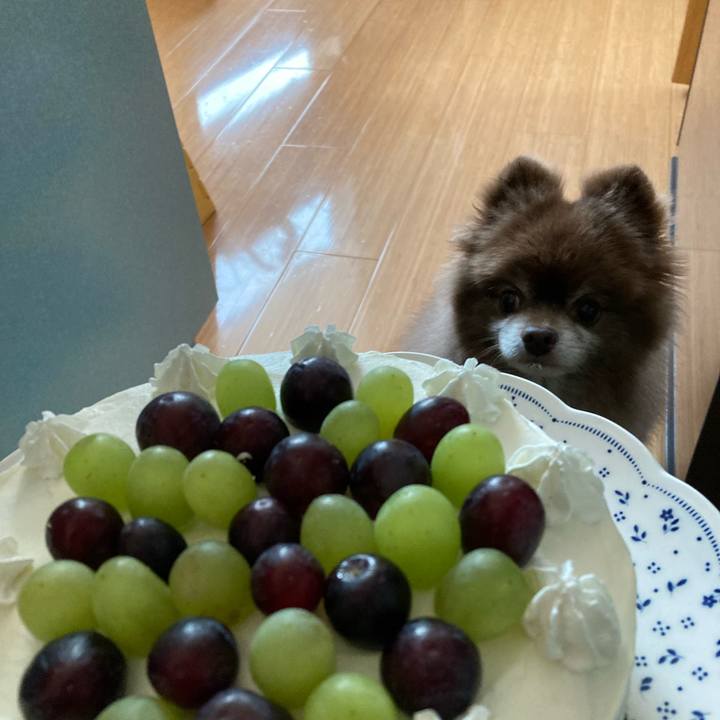 0508e4ed f65b 4a2f 8042 2c7b616971d1 1648931244519