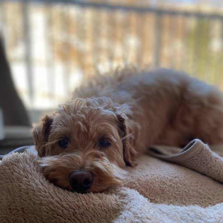 0508e5b5 ce41 4043 bd78 b761544adea6 1648866123725