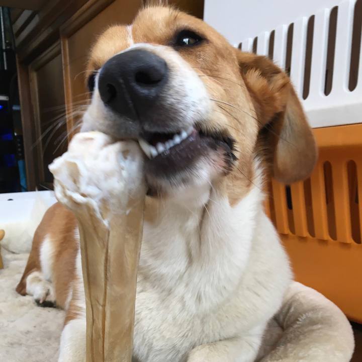 05090e0f c13c 4391 8751 b037aec92565 1615905469069