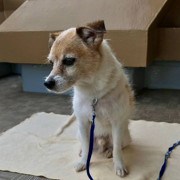 0509124b f71d 455d b56f 592595802759 1658361719738