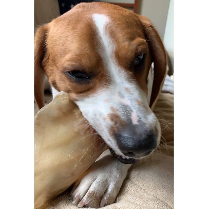 050912bb 6707 42fc 9194 856c0a59793a 1576380403665