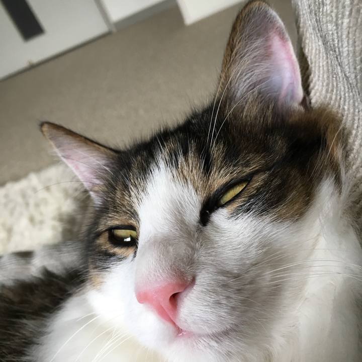 050958de 395a 4b6a 98d4 b9739d03d00b 1507941431547