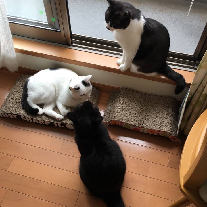 05097085 3e61 4135 a4d8 d2f5e0f1376d 1562804528963