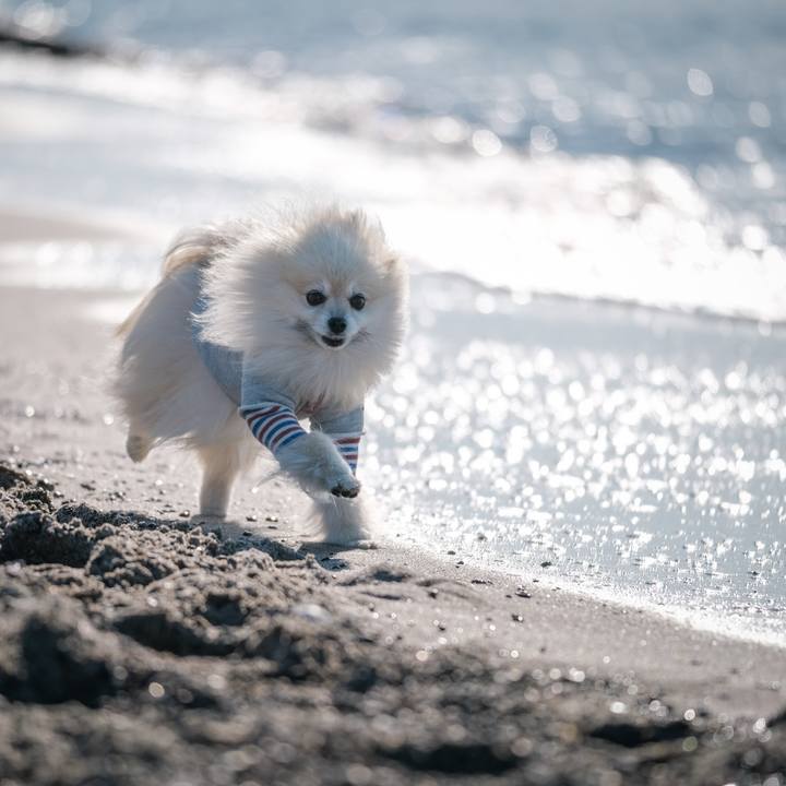 0509c914 a7f5 4320 ad33 c3a62aa3f6e8 1641858416808