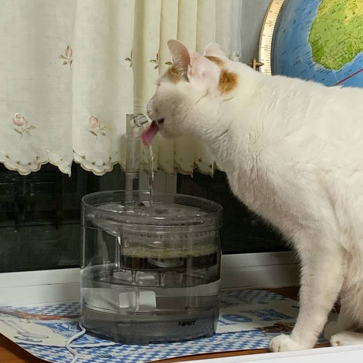 0509fe04 b7f3 4044 b915 96d079584e78 1606539732044