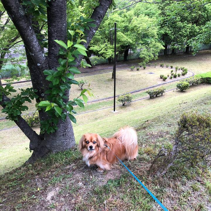 050a0714 1aad 43b6 b5b3 f82ca8e9c6ec 1558303701359