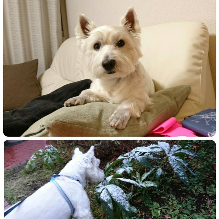 050a095e f280 46a8 a6af 5095d214b1f3 1511079247429