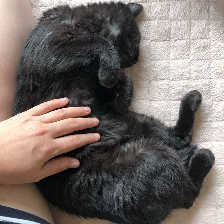 050a97c4 f610 4973 9458 bfabeca71b56 1561254251998