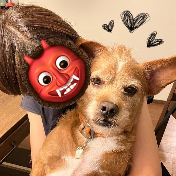 050ab4e7 4fac 459d b382 5f9354244e61 1660255685353