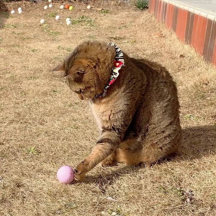 050afad1 3857 4f1e 834f a63d91b7fba6 1674522479140