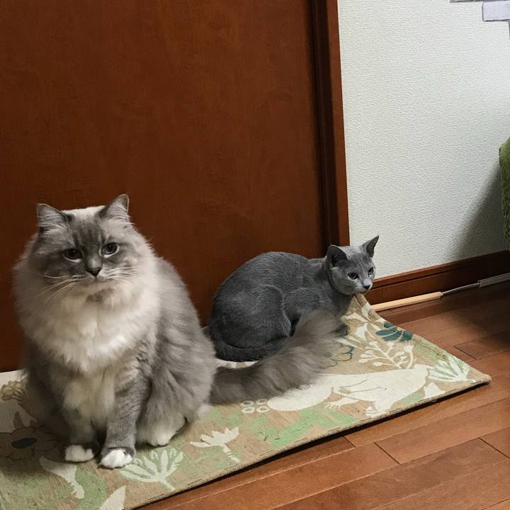 050b1577 f78f 4aad 9756 98d8999c416f 1512338458810