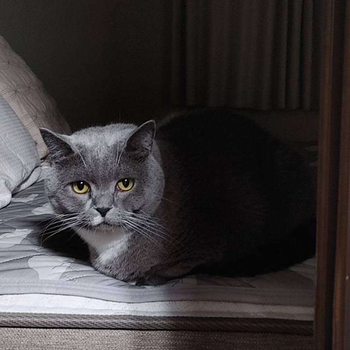 050b4c6b 61da 4dba bdfa 31bf1d5e3f76 1660911445692