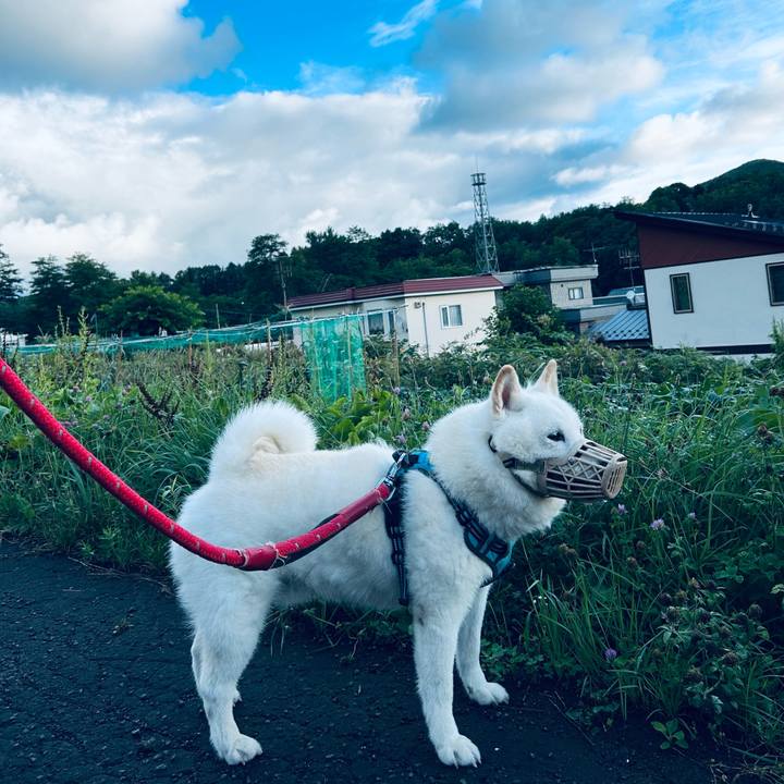 050b54fd 8097 4281 8458 0732b154de30 1754687236068