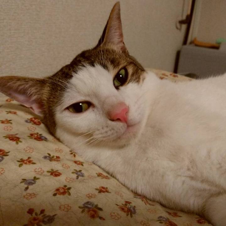 050b55b1 b844 4e46 8f75 20514581be81 1688127337658