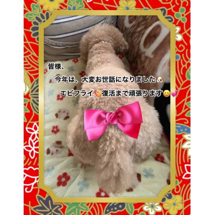 050b71c1 db04 4dc3 b1fa 232959911b5c 1546249218375