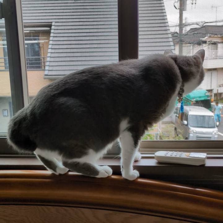 050bbe7e 7f03 4c80 8c51 c728e4d4b984 1757641839281