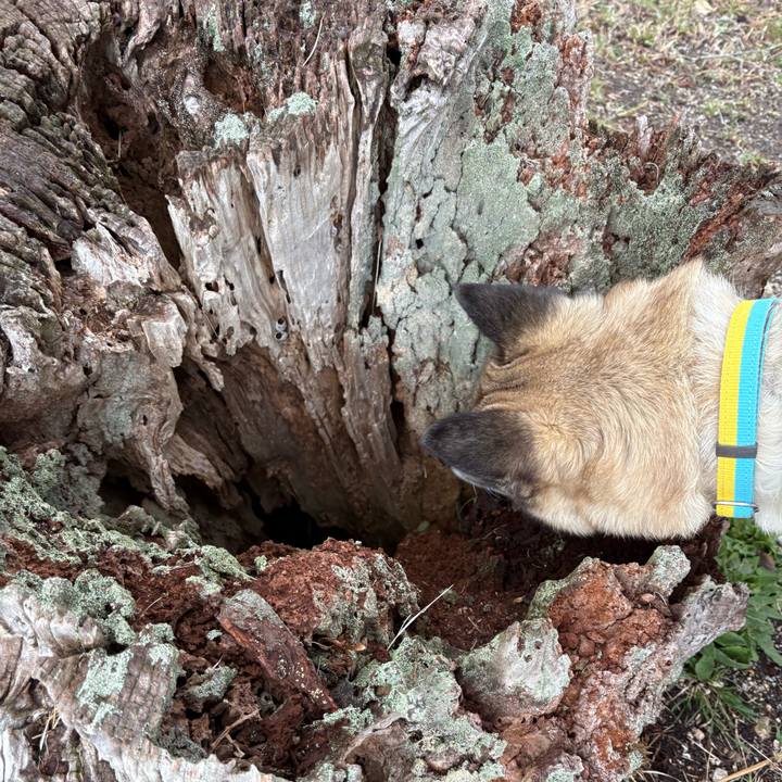 050bd558 9017 418b 9ad7 0b90d7a9057c 1742034208930