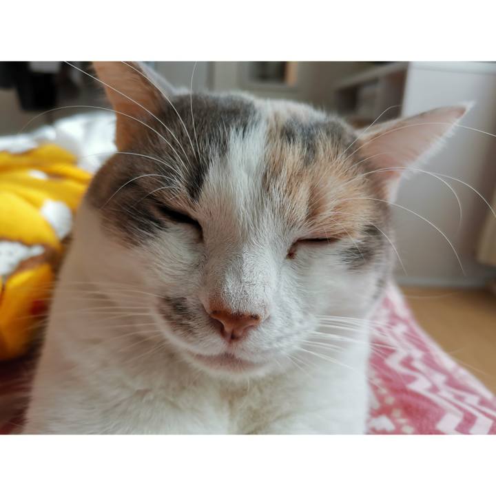 050be9b1 fede 4b34 af1b 31a29d35a4cf 1642129936501