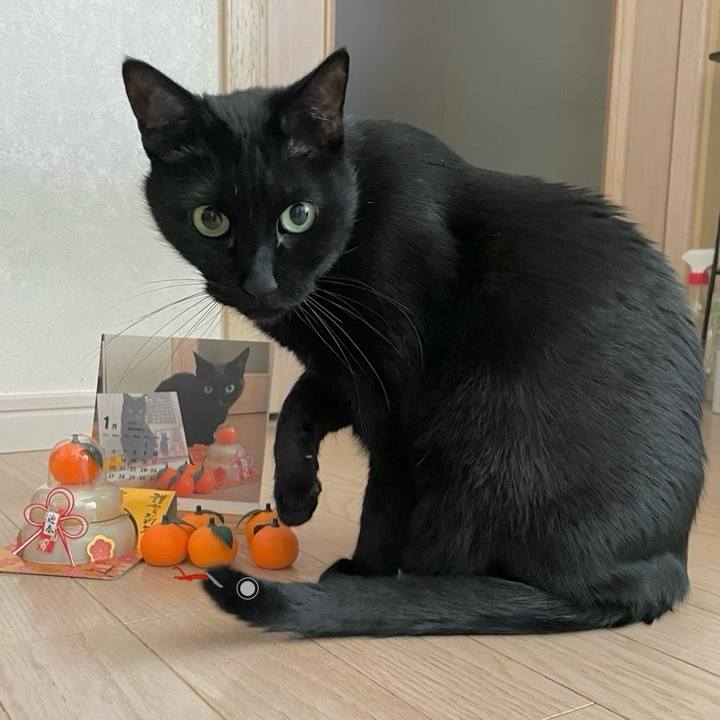 050c1425 0102 49cd bd5d a7165efc18ef 1735784802948